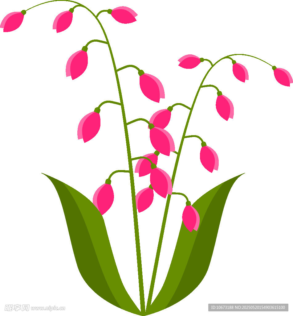 粉色铃状花朵插画