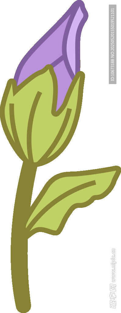 紫色花苞插画
