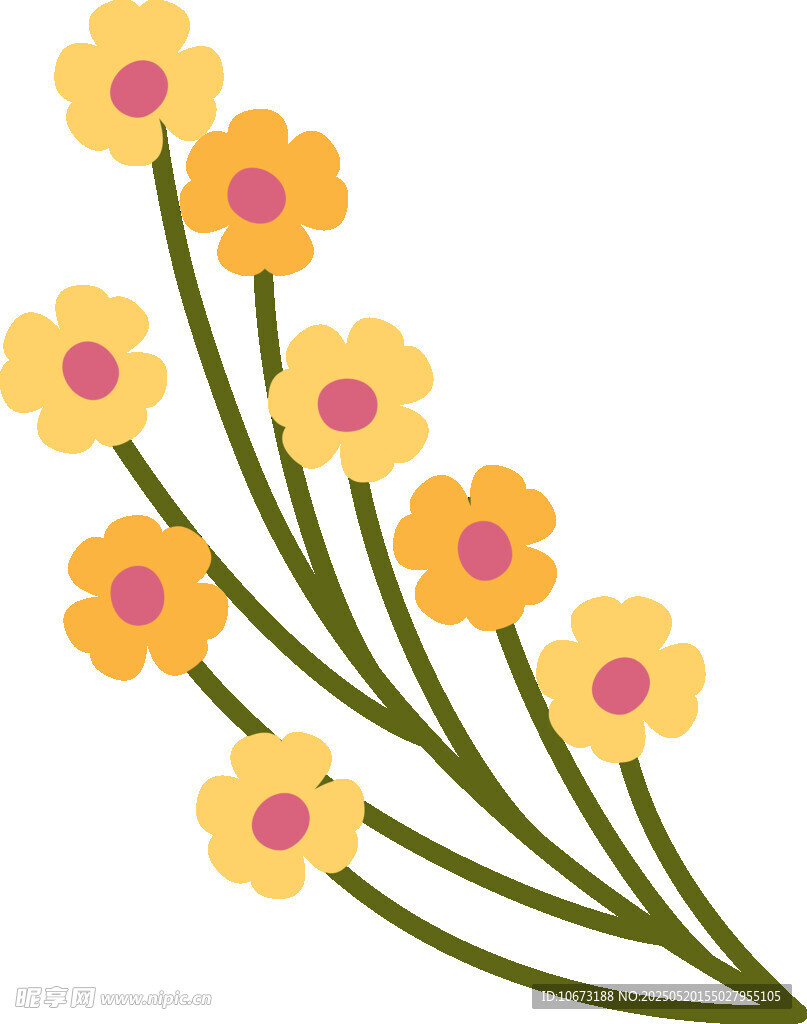 黄色小花插画