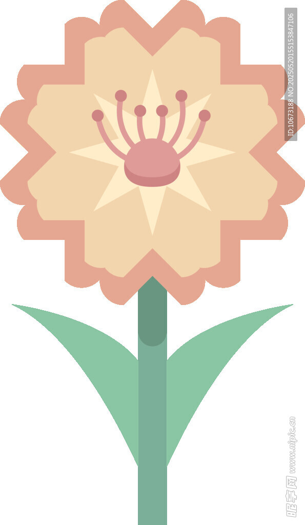 简约花朵插画