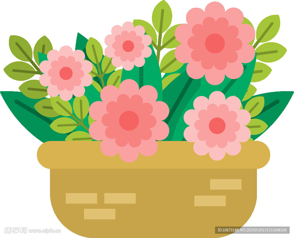 花盆中的粉色花卉