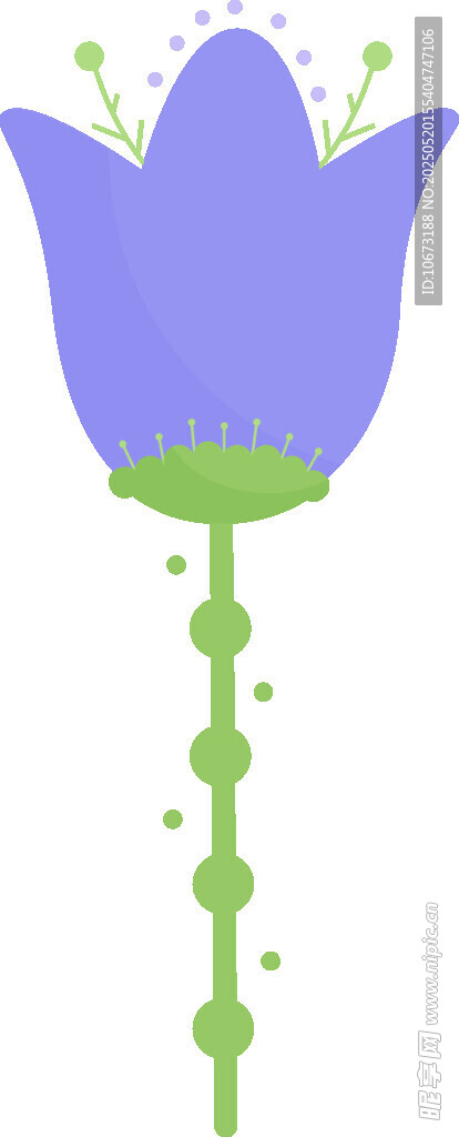 紫色花朵插画