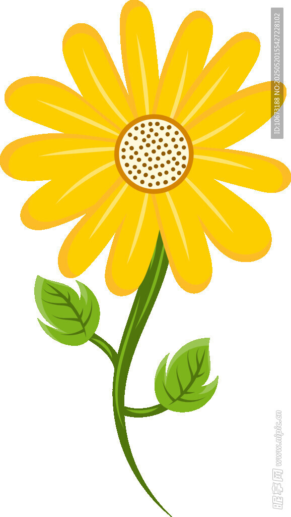 黄色雏菊插画