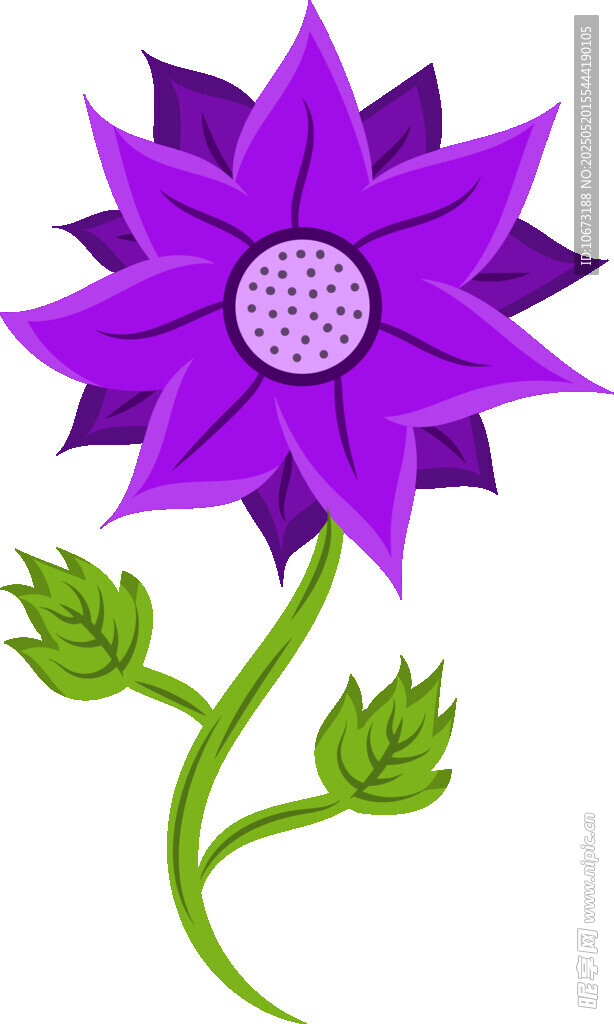 紫色花朵插画