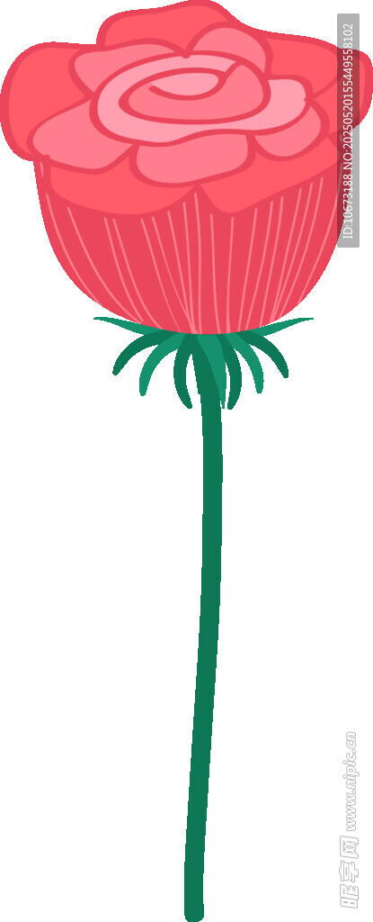粉色玫瑰插画