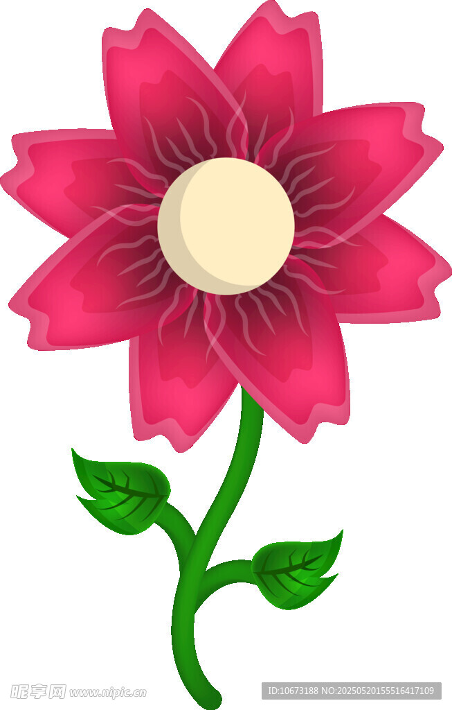 粉色花朵插画
