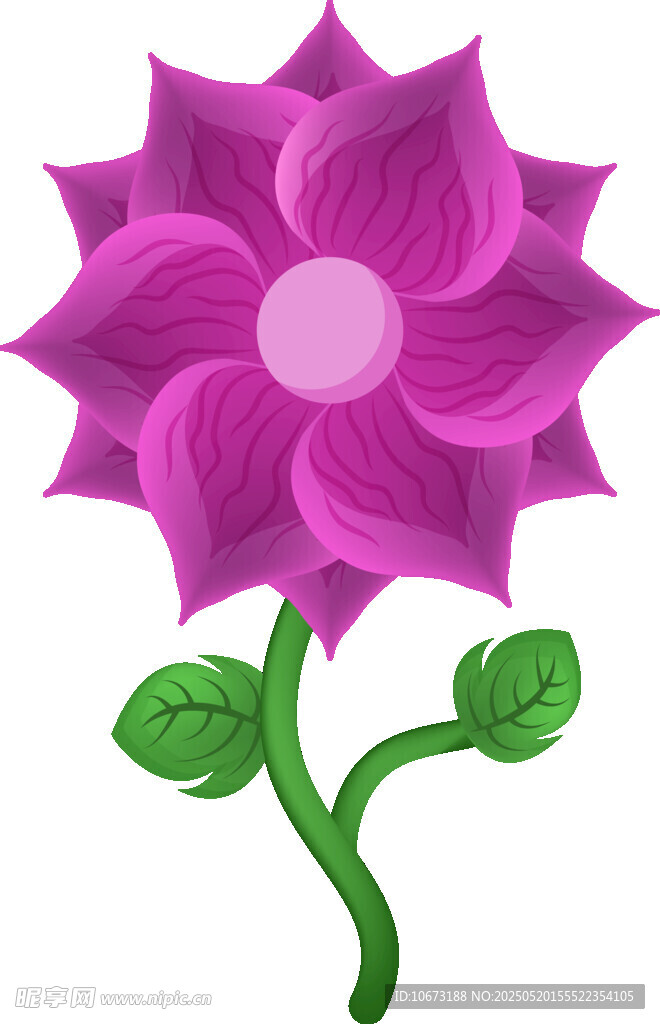 紫色花朵插画