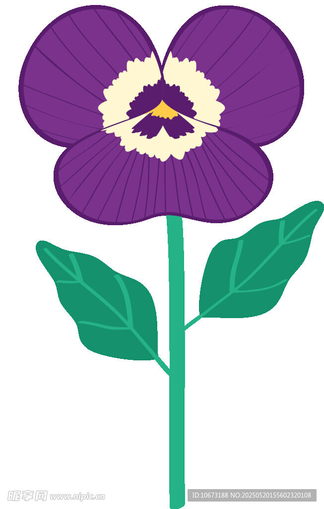 紫色三色堇花朵插画