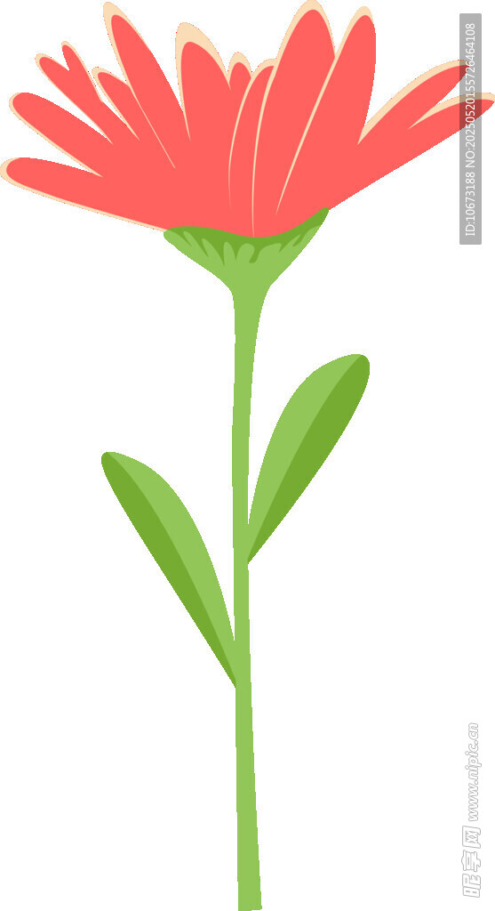 红色花朵插画