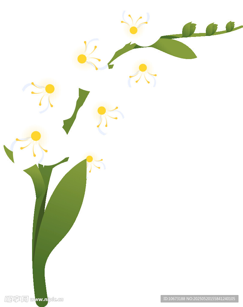 白色小花绿叶植物插画