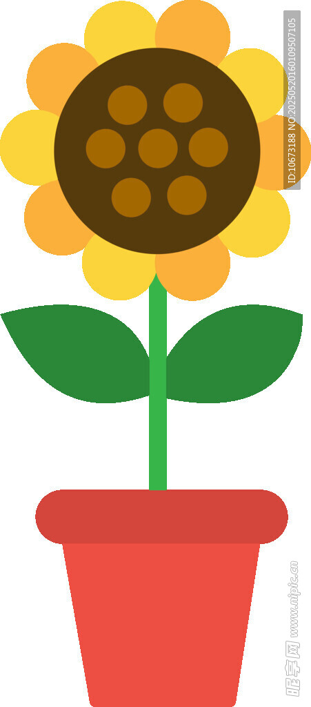 花盆中的向日葵