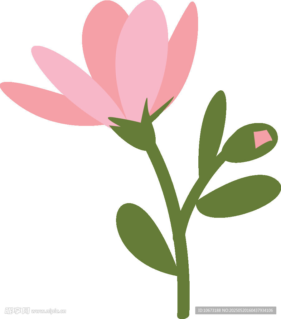 粉色花朵插画
