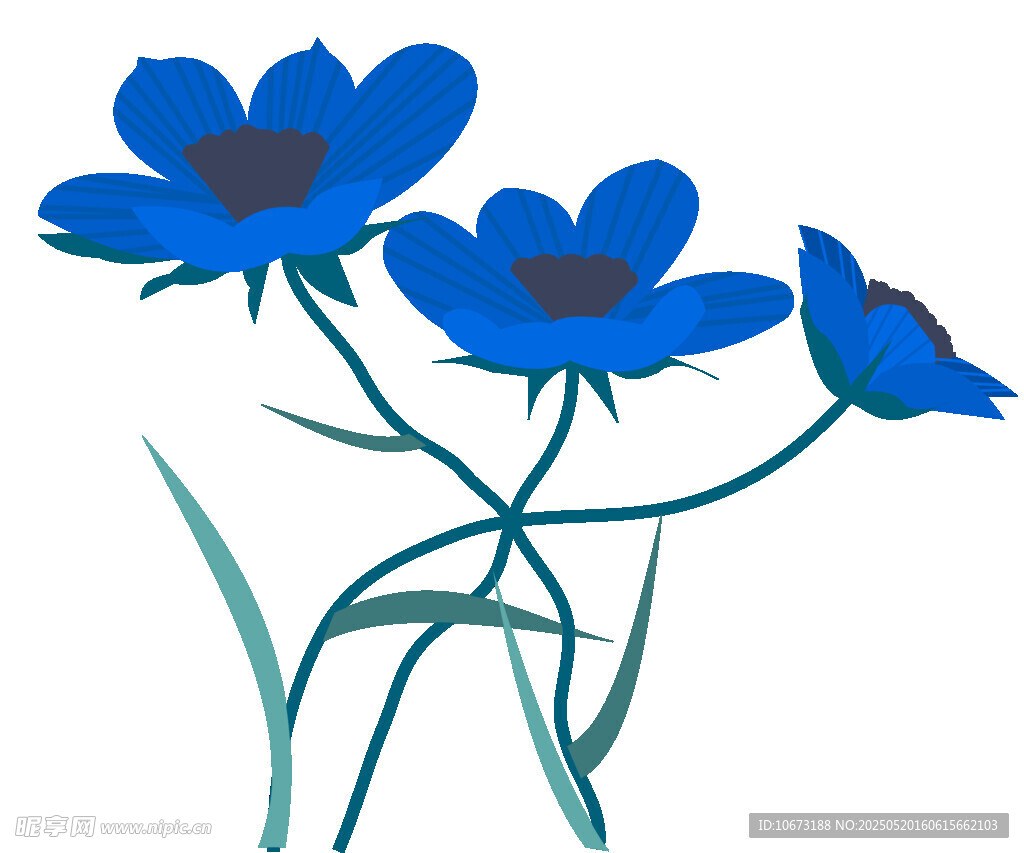 蓝色花朵插画
