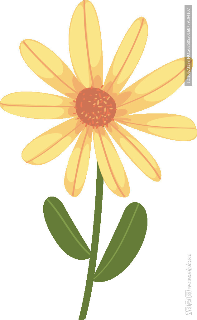 黄色雏菊插画