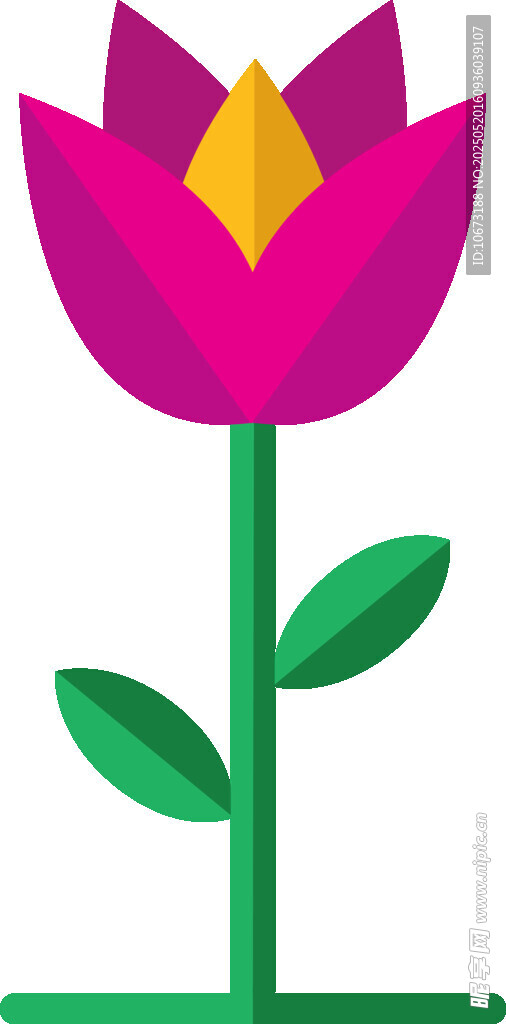 粉色花朵插画