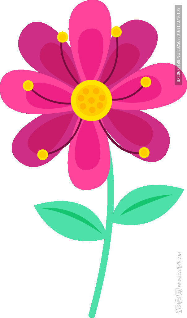 粉色花朵插画