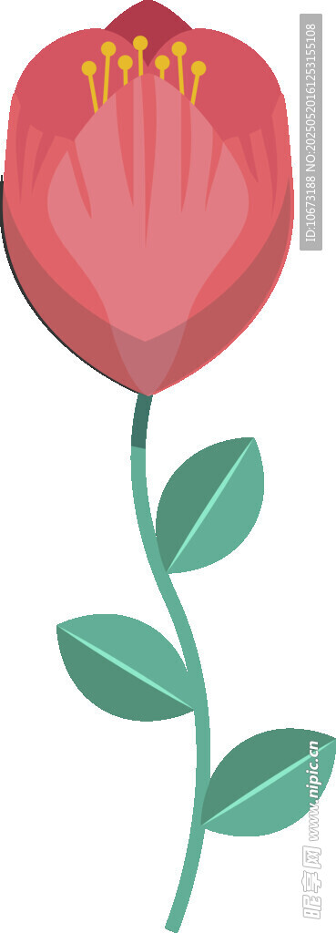 红色花朵插画