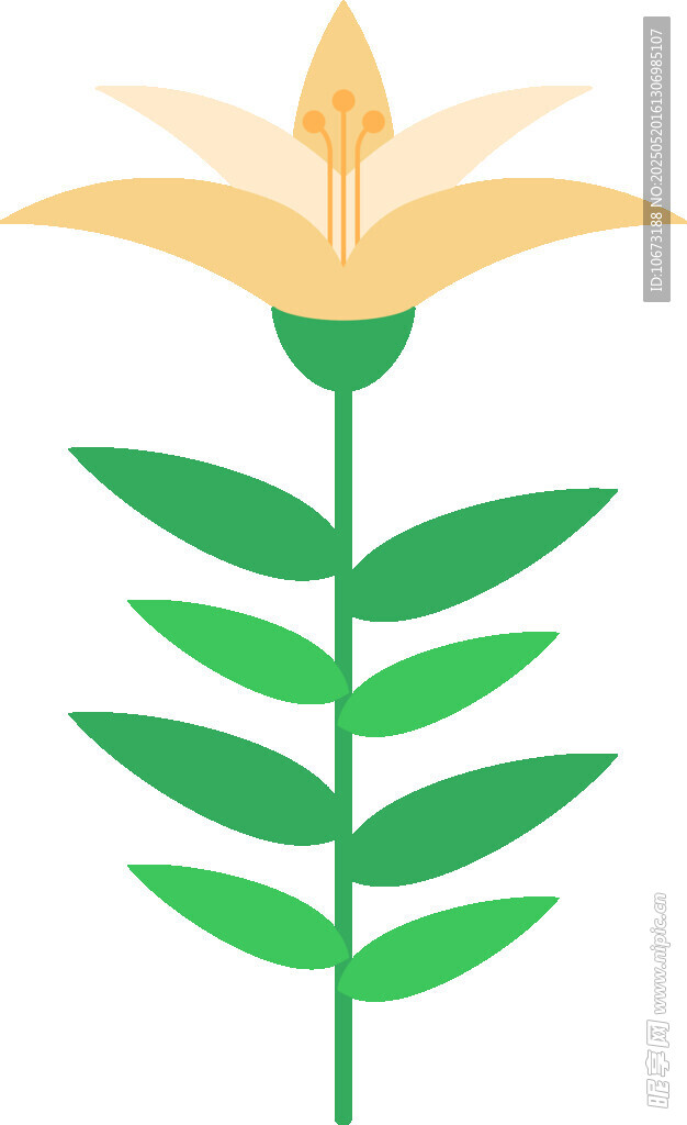 简约花朵植物插画