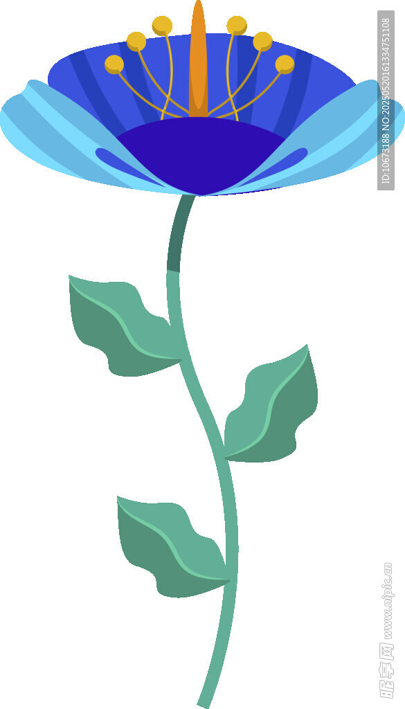 蓝色花朵插画