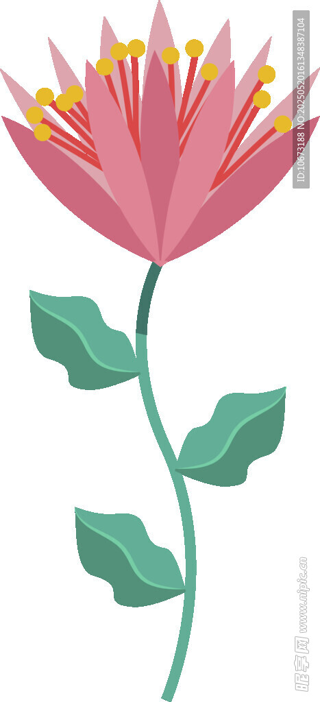 粉色花朵插画