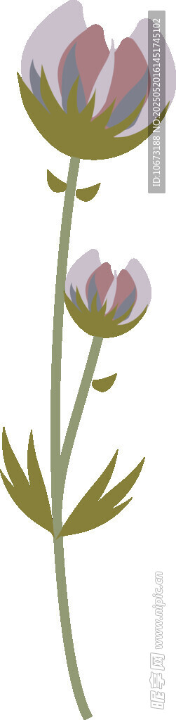 紫色小花插画