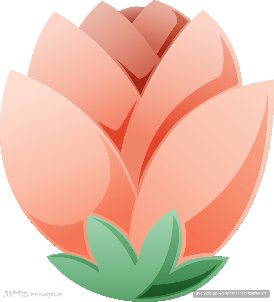 粉色花朵插画