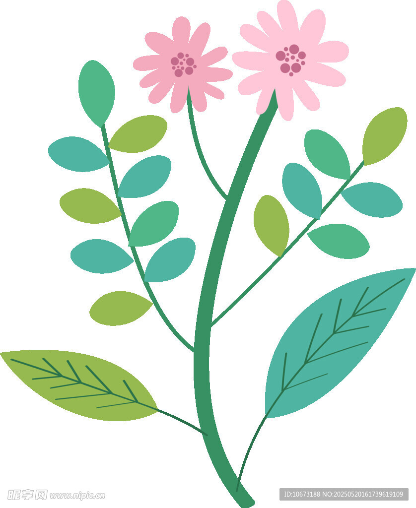 两朵粉色小花插画