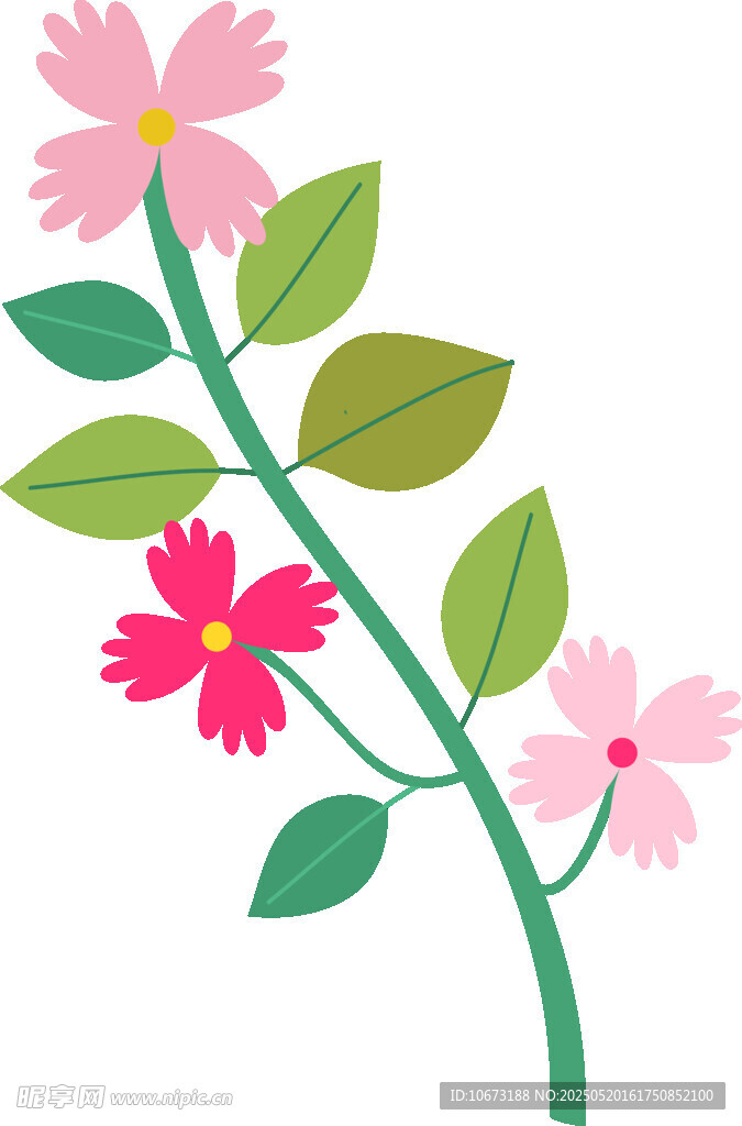 多彩花朵插画