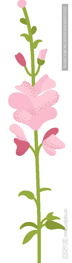 粉色花朵插画