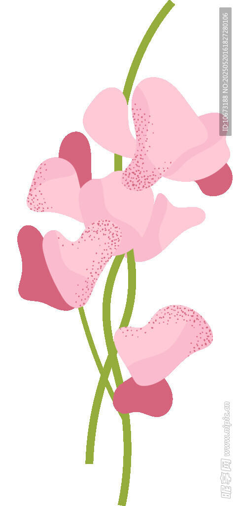 粉色花朵插画