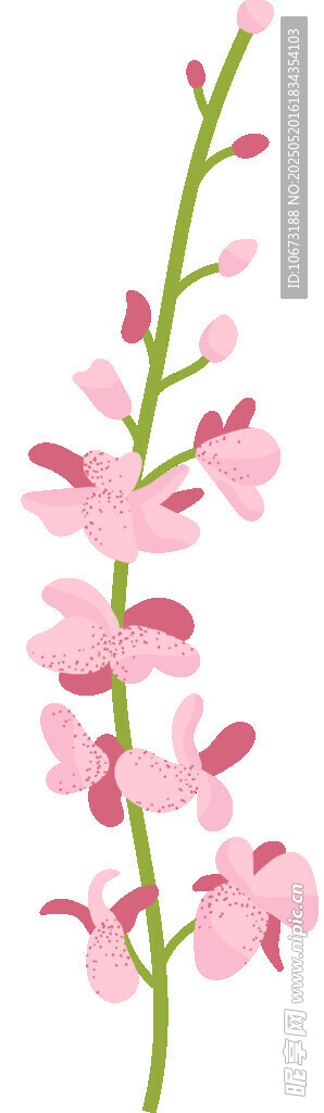 粉色花枝插画