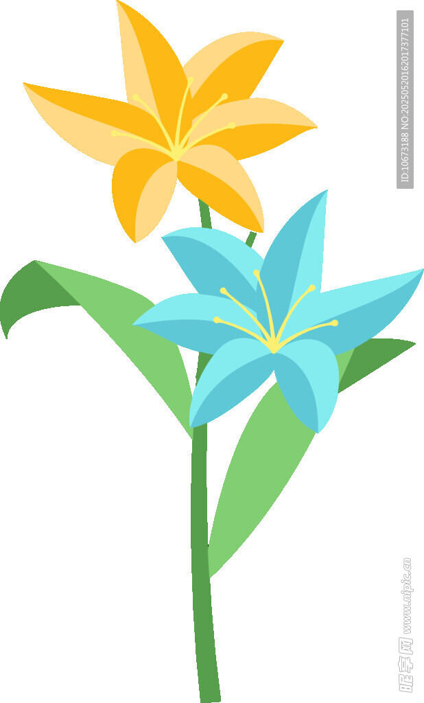 双色花朵插画