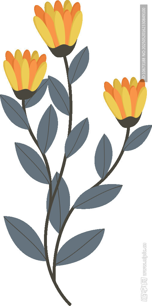 三朵黄橙花朵插画