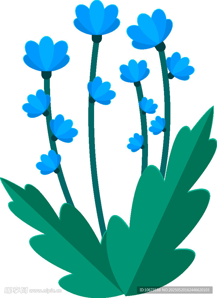 蓝色花朵插画