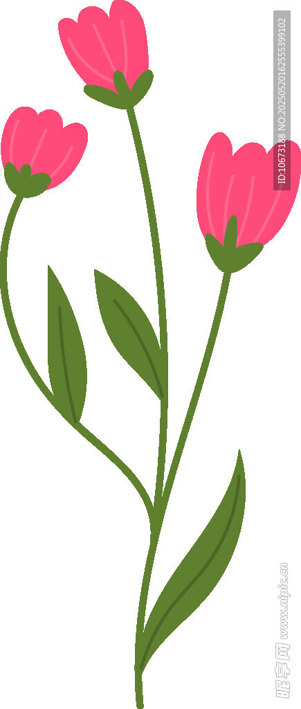 粉色花朵插画