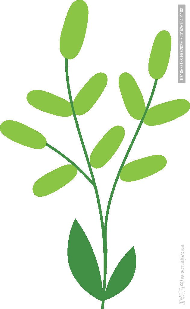绿色植物枝条插画