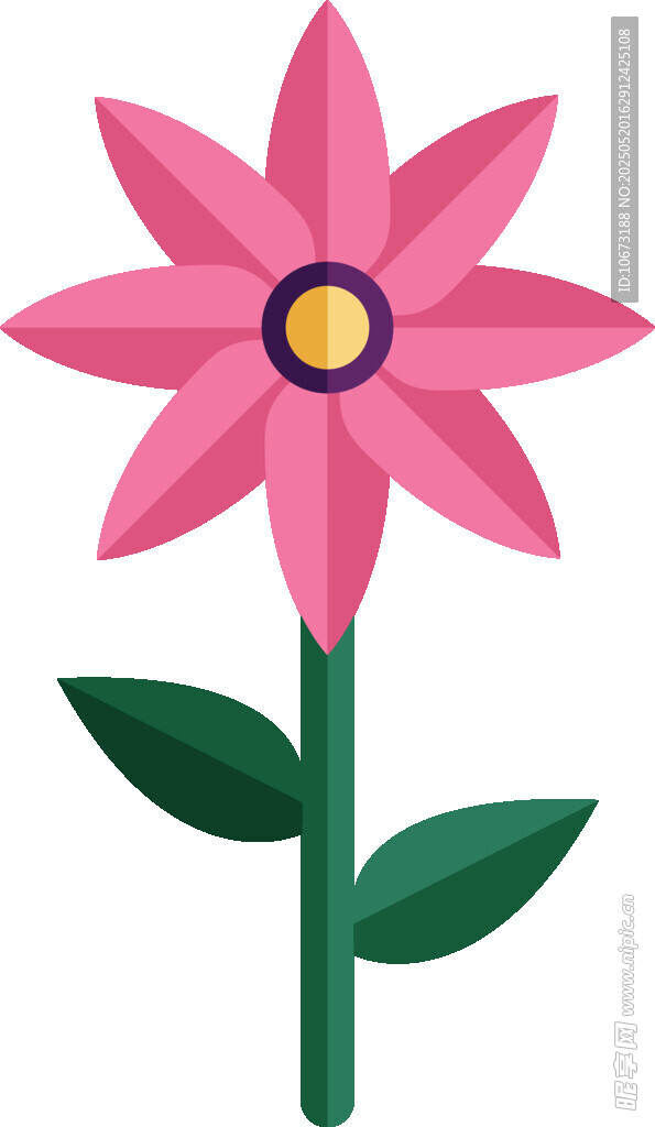 粉色花朵插画