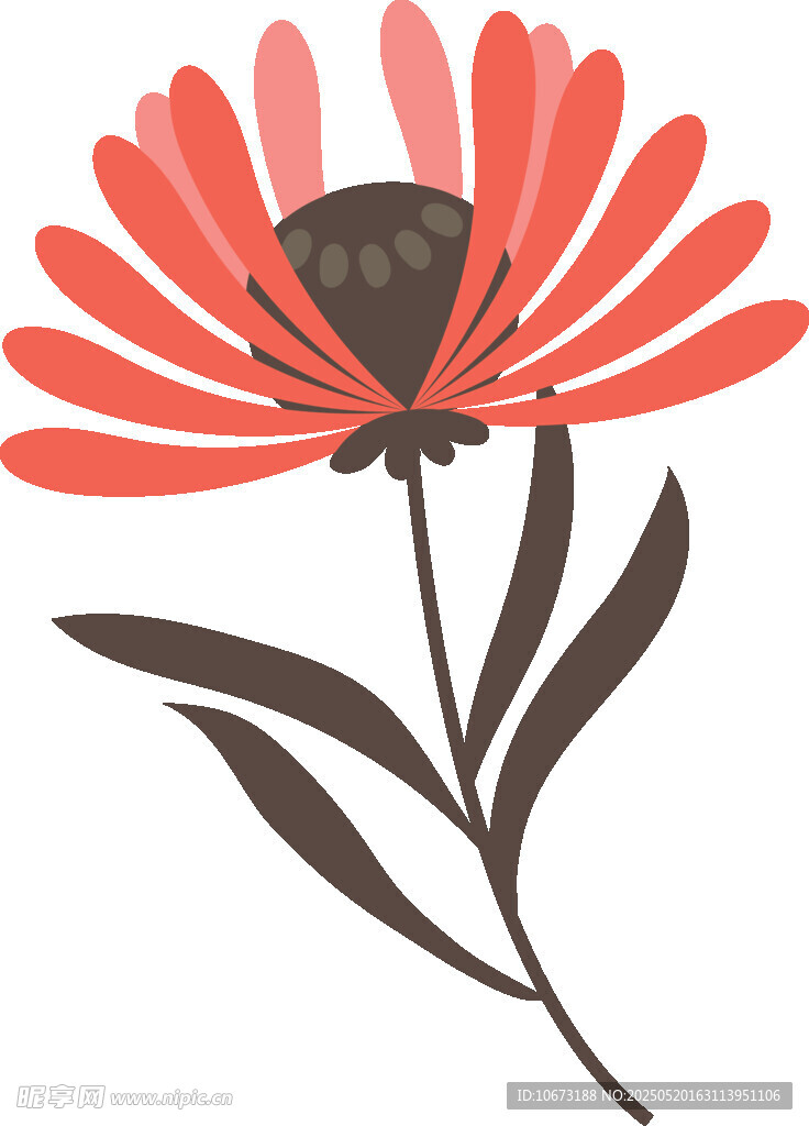 红色花朵插画