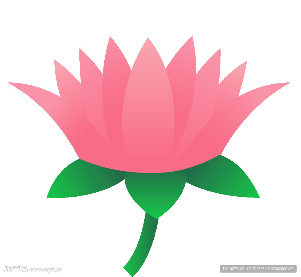 粉色莲花插画