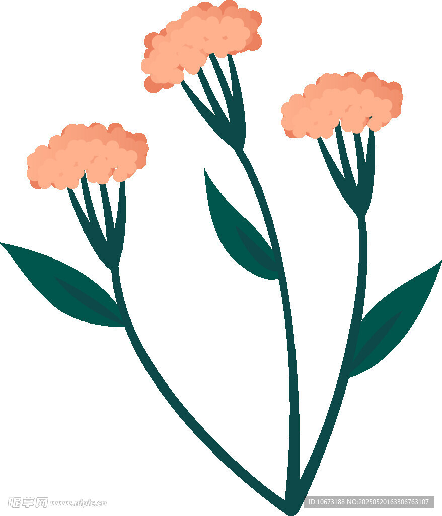 三朵橙色小花插画