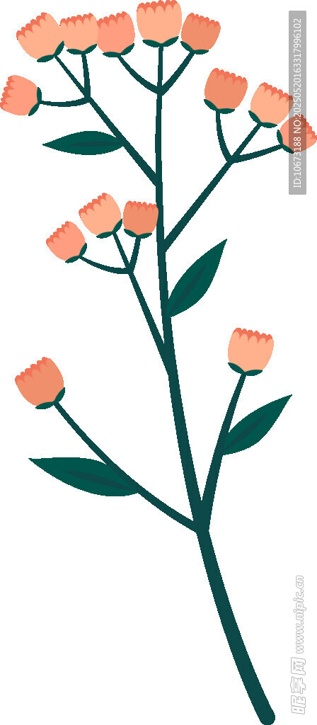 橙色小花插画