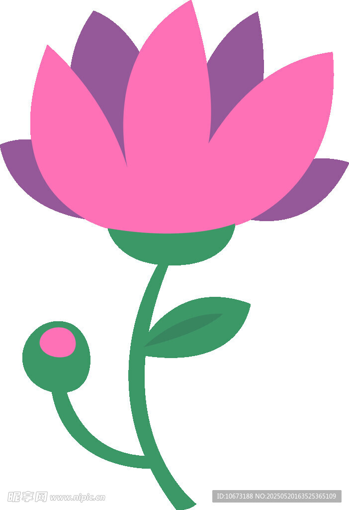 粉色莲花插画