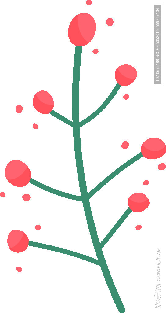 红色浆果植物插画