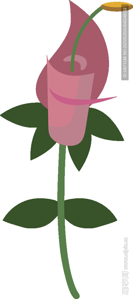 粉色花朵插画