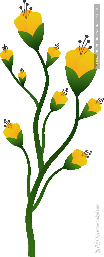 黄色小花插画植物图案