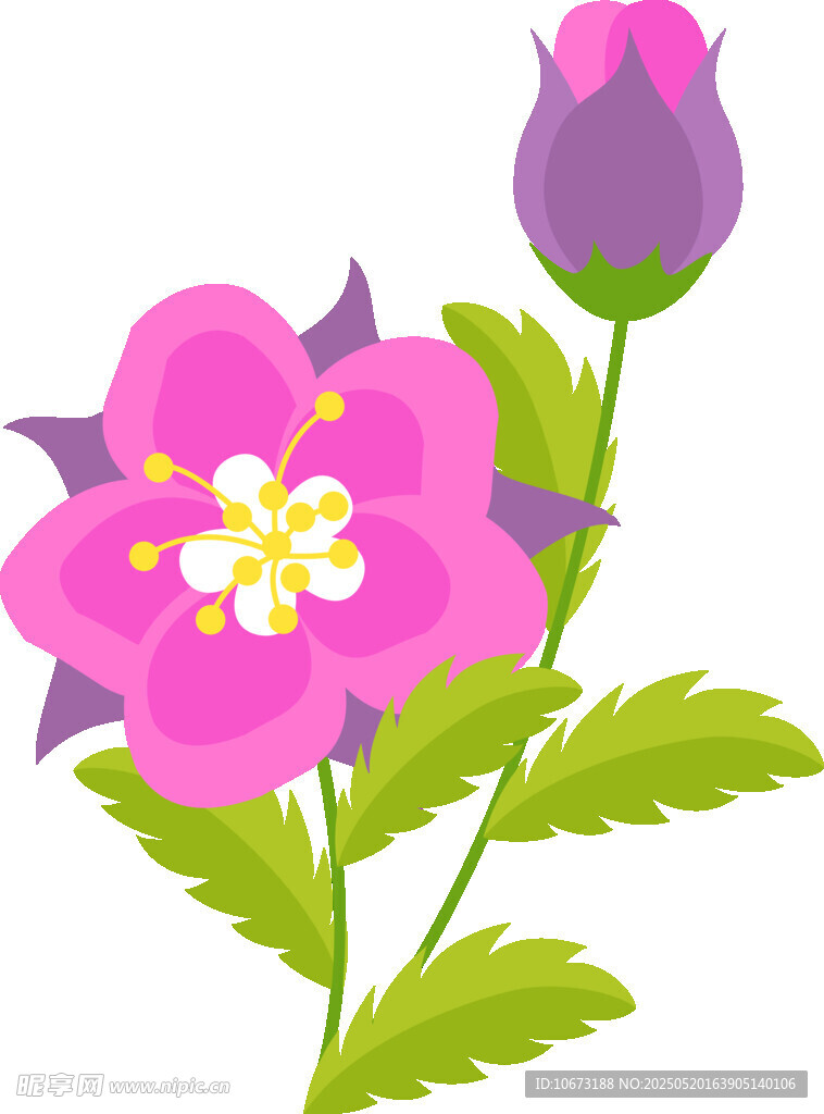 粉色花朵插画