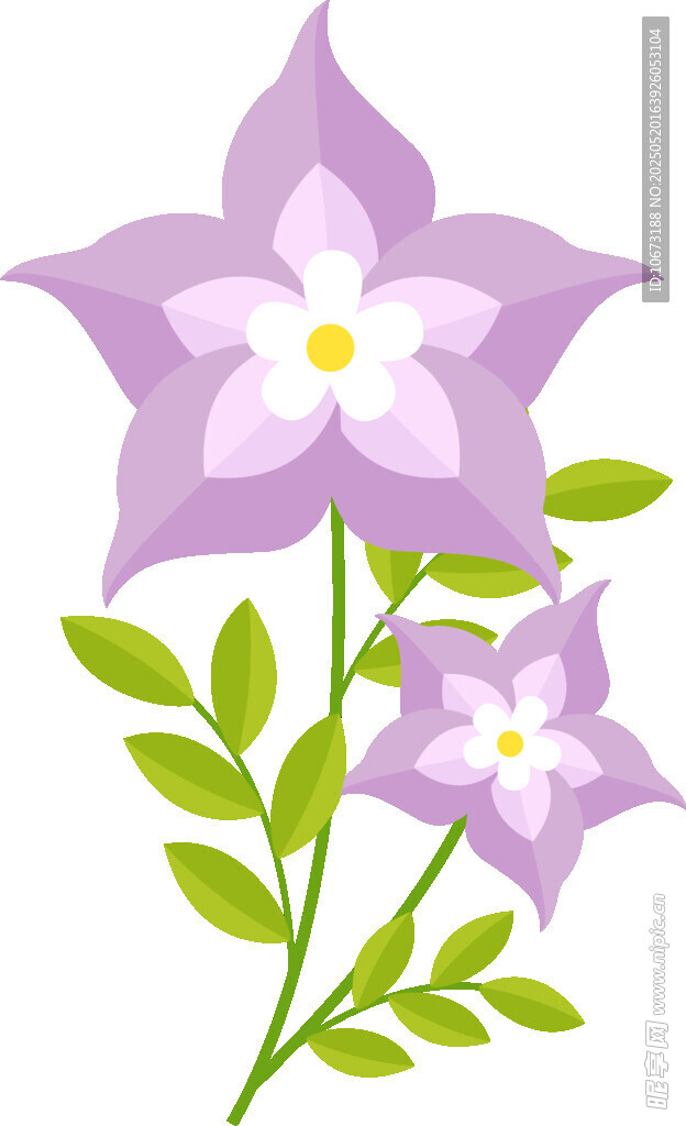 紫色小花插画