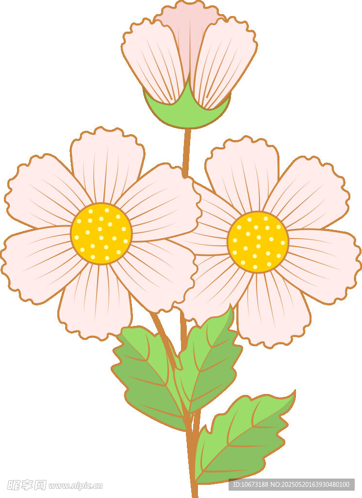 三朵粉色小花插画