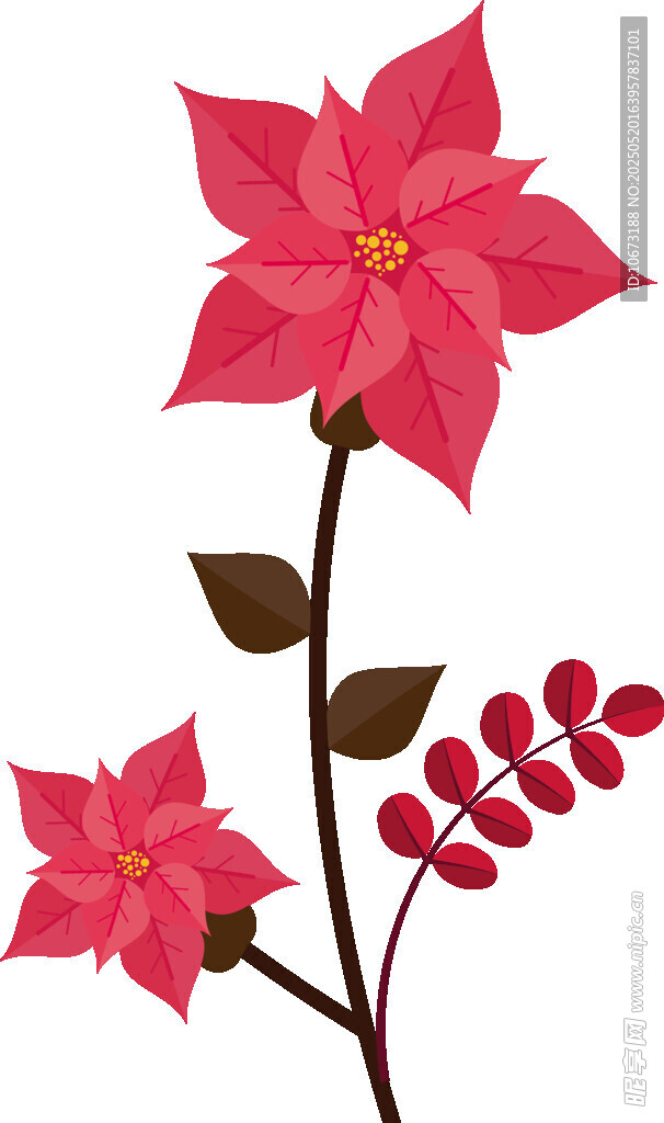 红色花卉插画