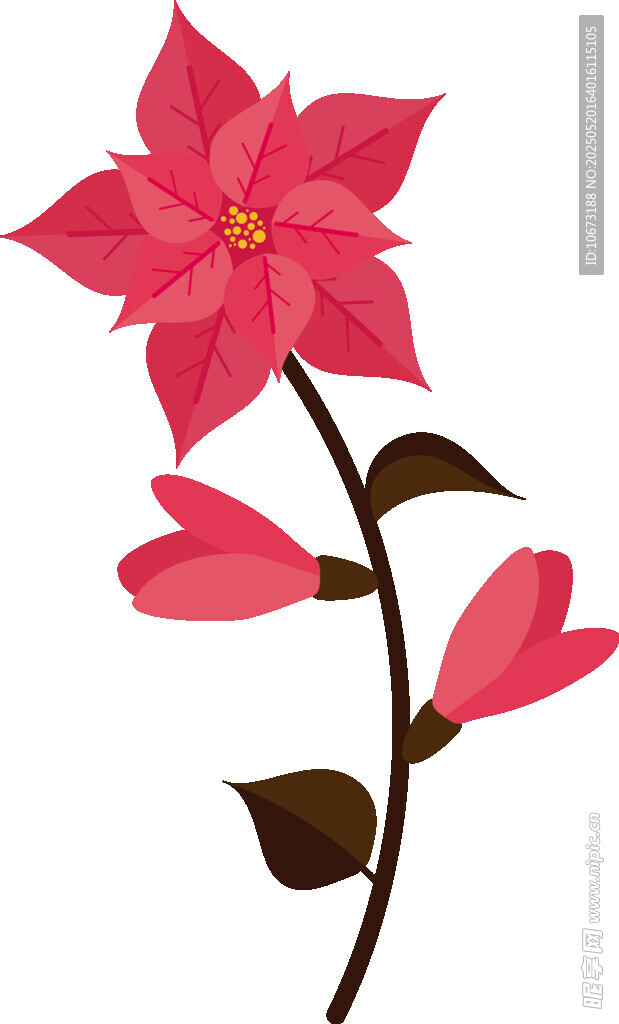 粉色花卉插画